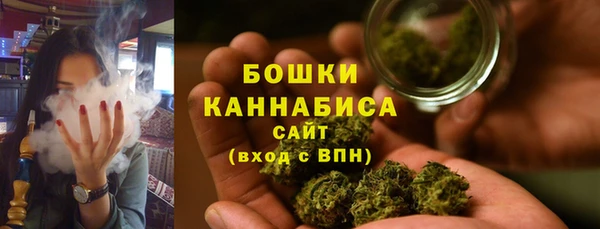 дурь Алзамай