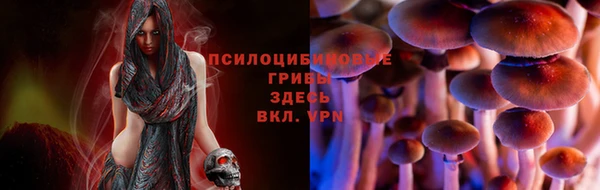 дурь Алзамай