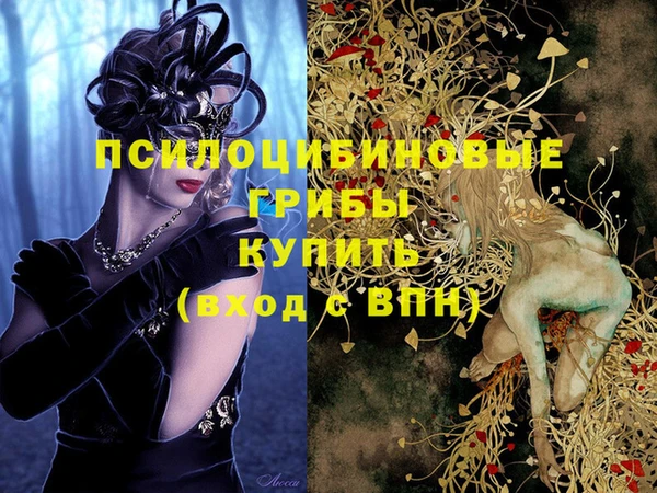 тгк Алексеевка