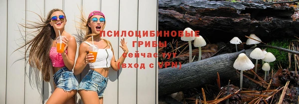 СК Кукмор