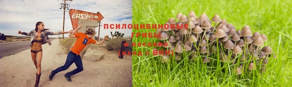 тгк Алексеевка
